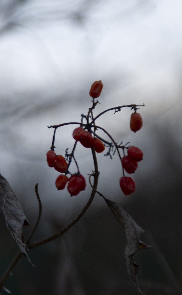 Осінній настрій