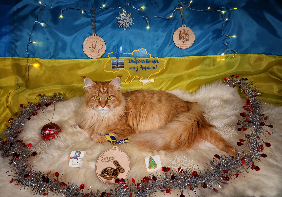 Новорічна листівка.