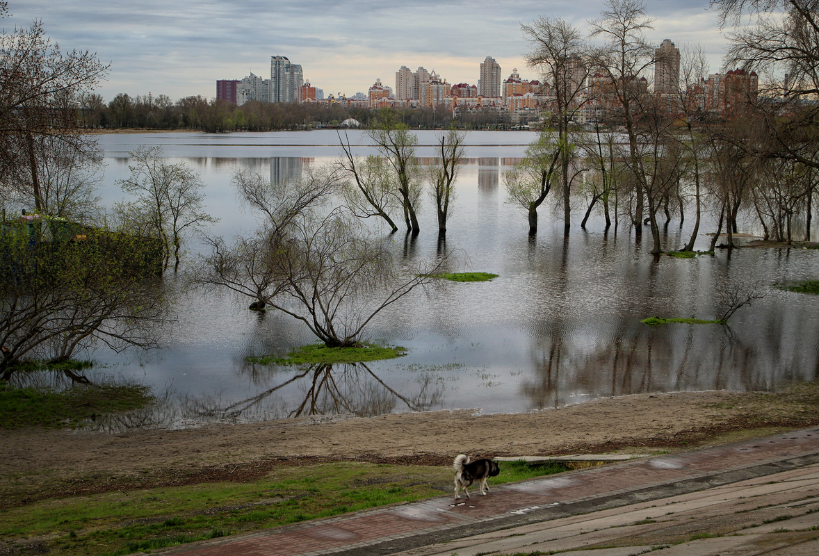 Весняна повінь