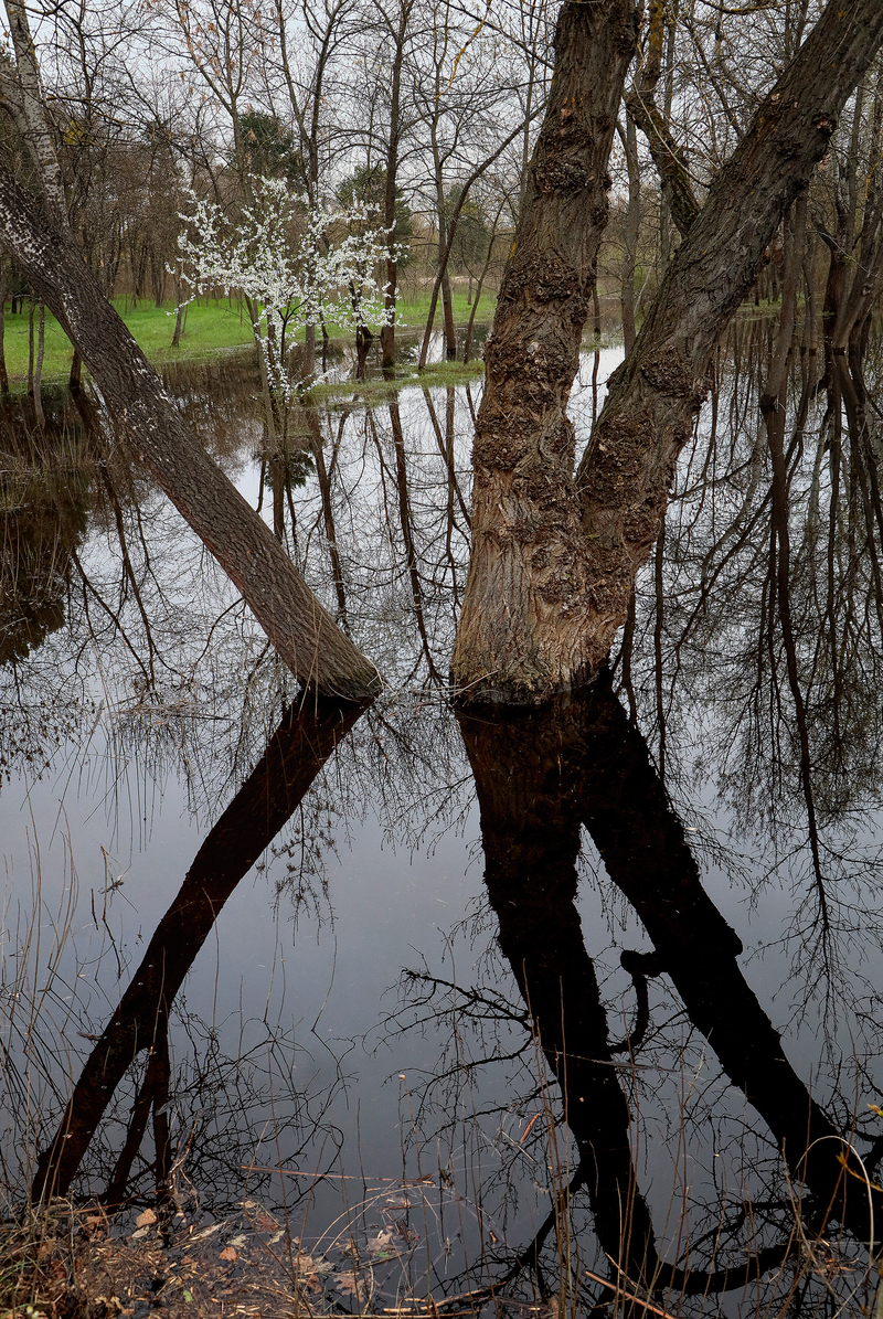 Весняна повінь