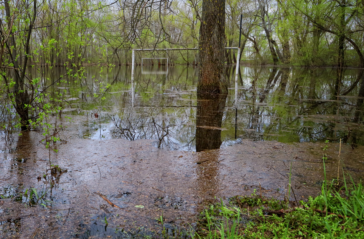 Весняна повінь