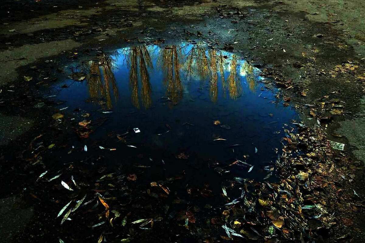 Врятувати світ