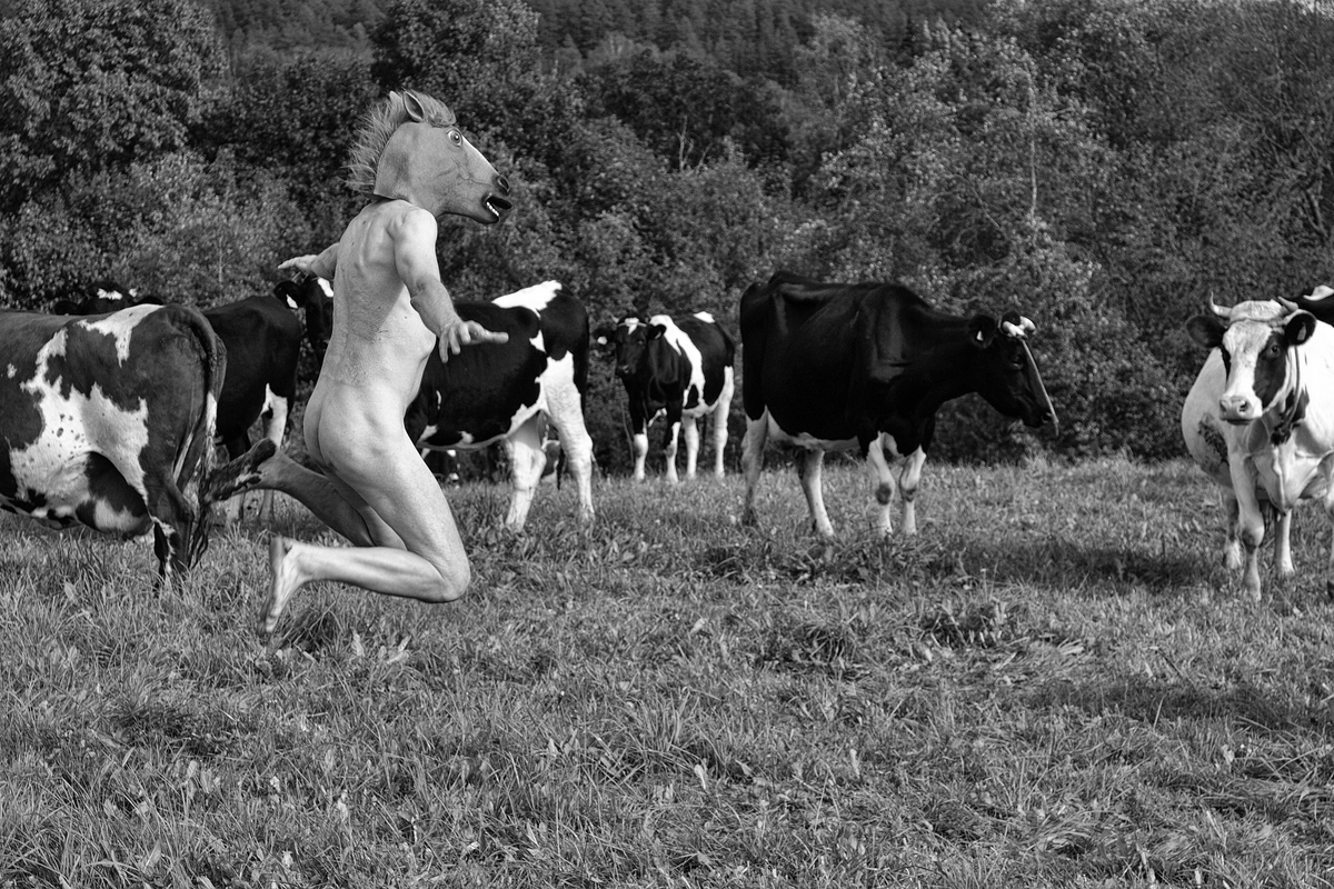 4_Фотосесія у фермера