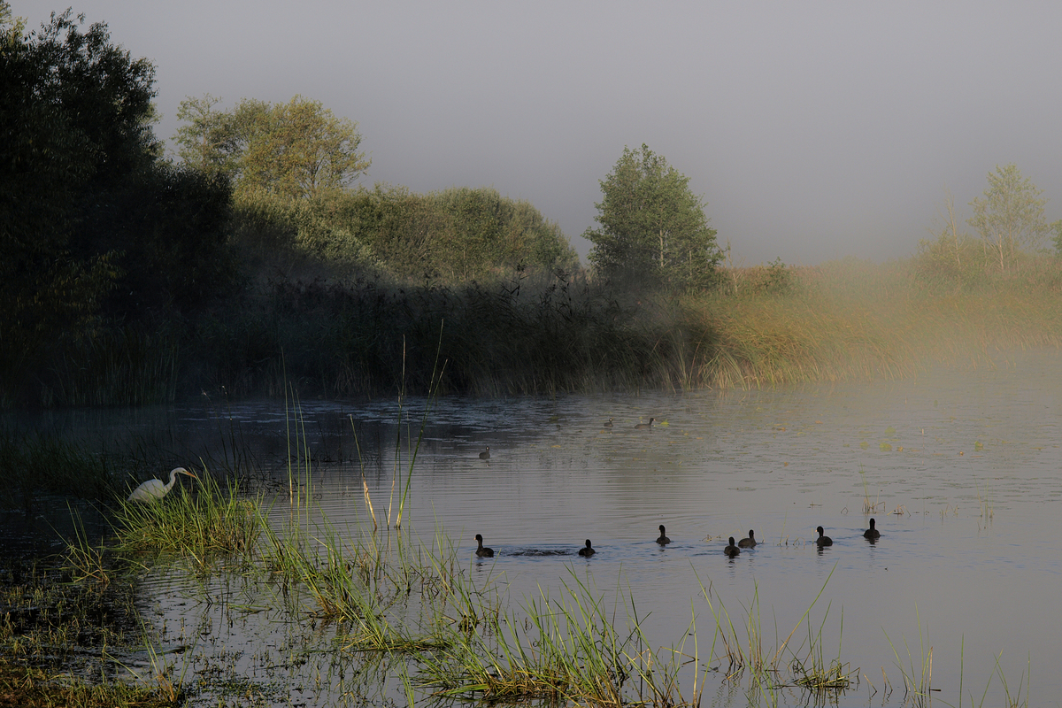 Ранок у Сартау _1