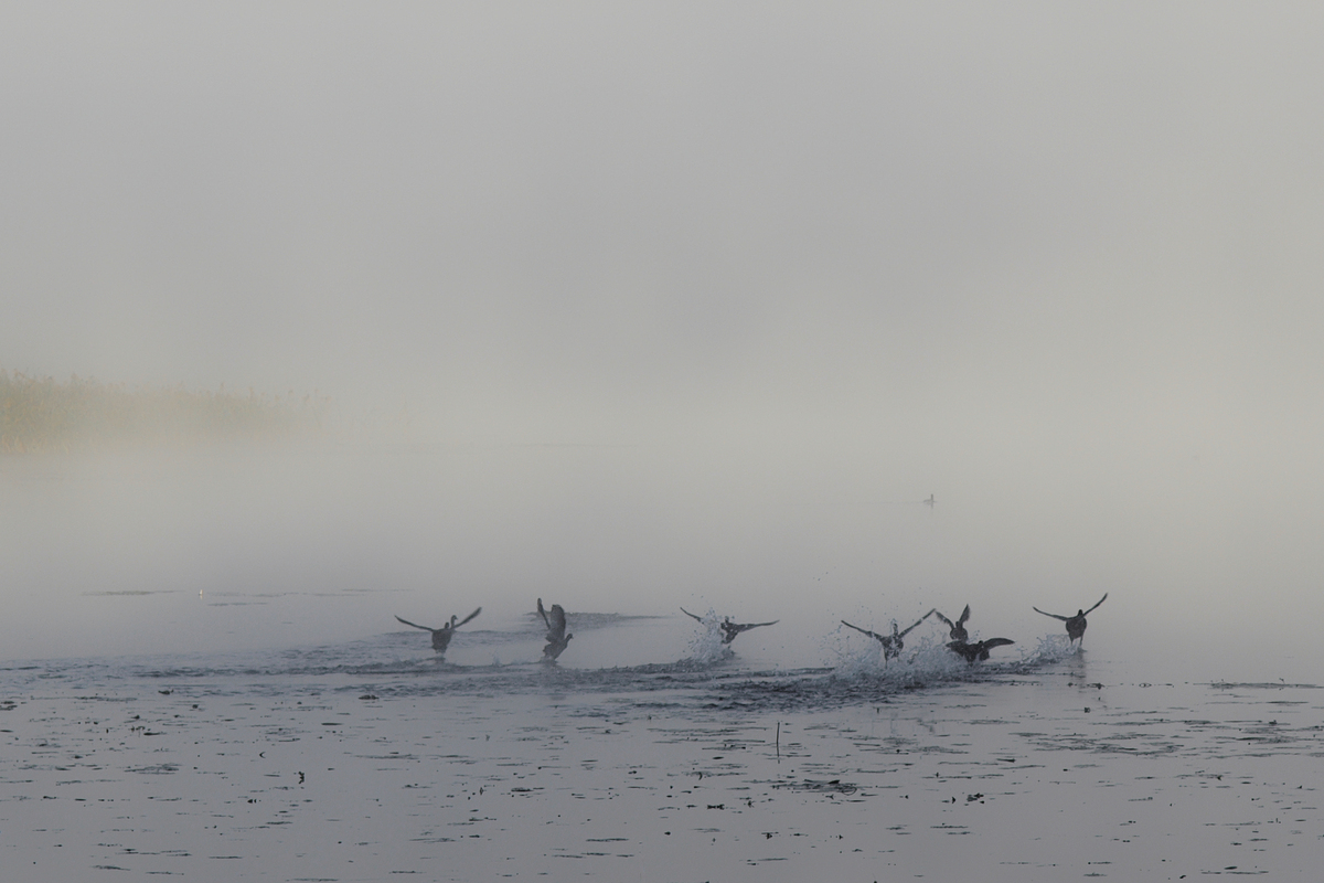 Ранок у Сартау _4