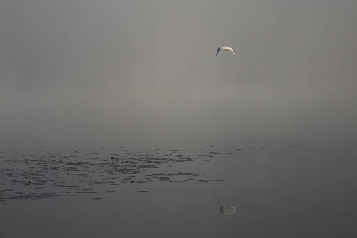 Ранок у Сартау _8