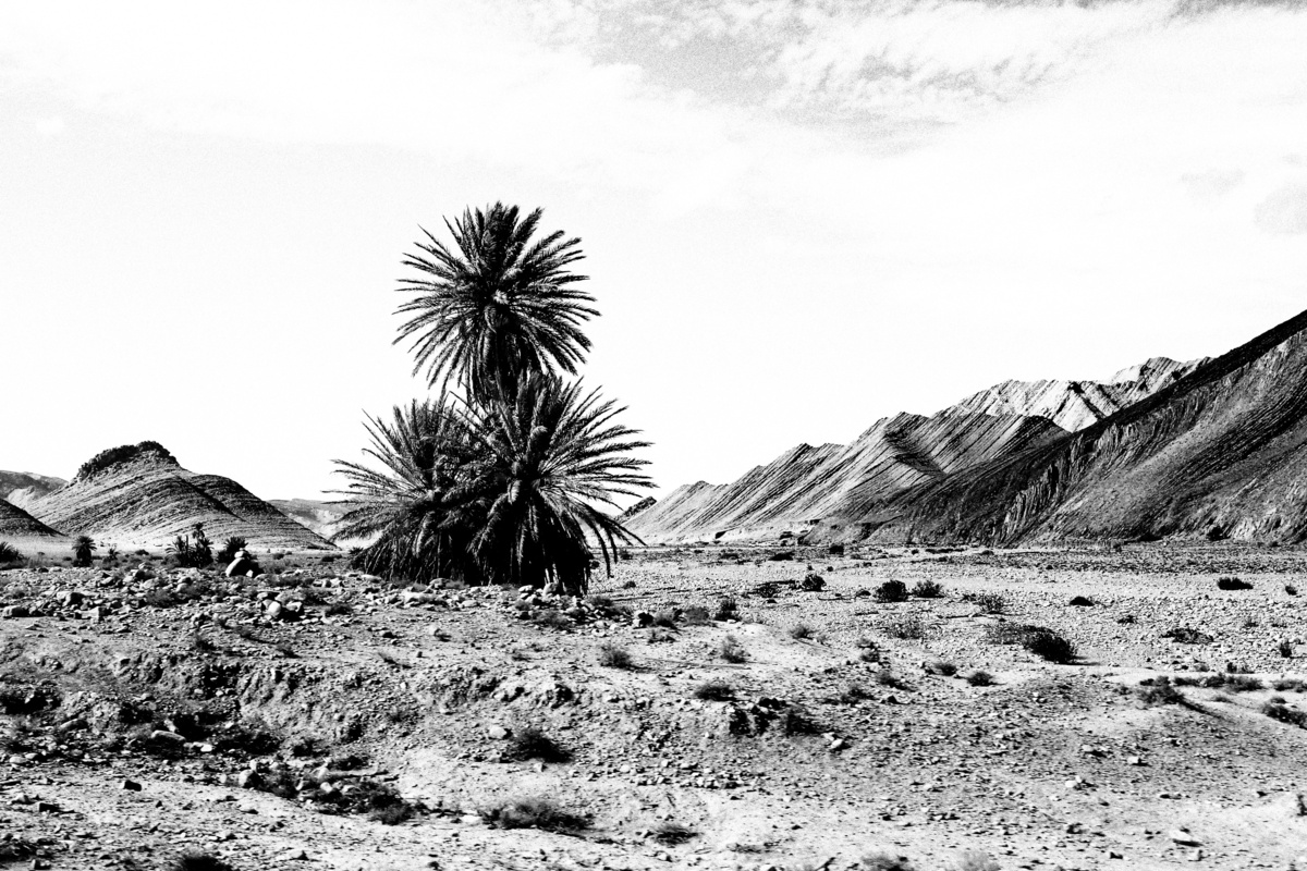 Moroccan desert  IV