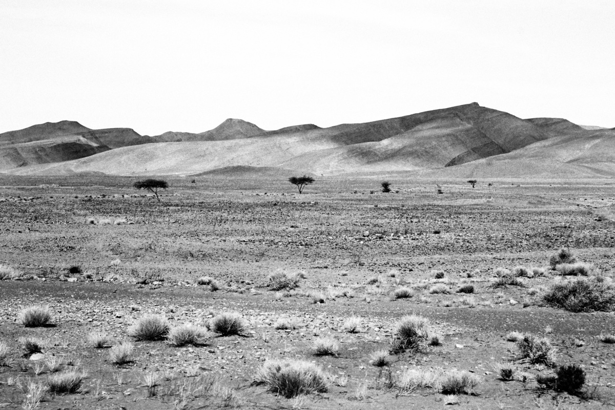 Moroccan desert V