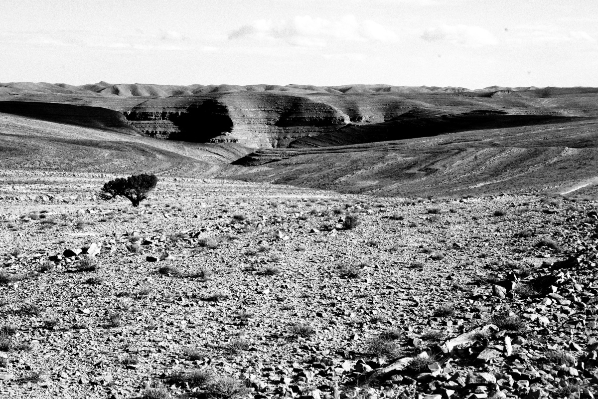 Moroccan desert XII