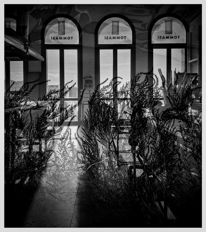 На острові Мурано..