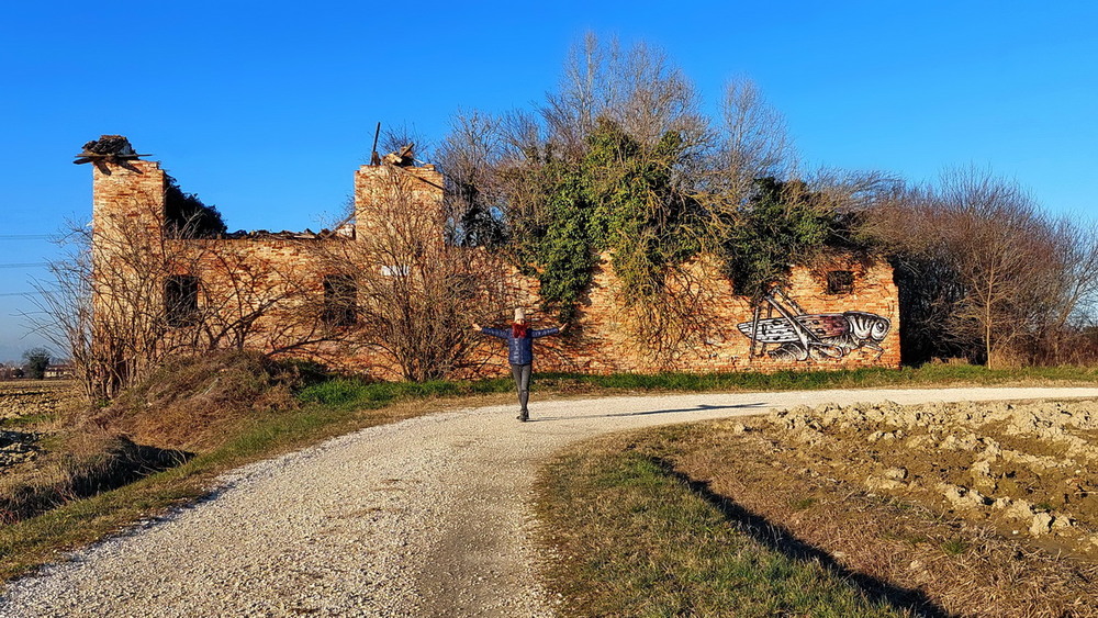 Селфі з коником