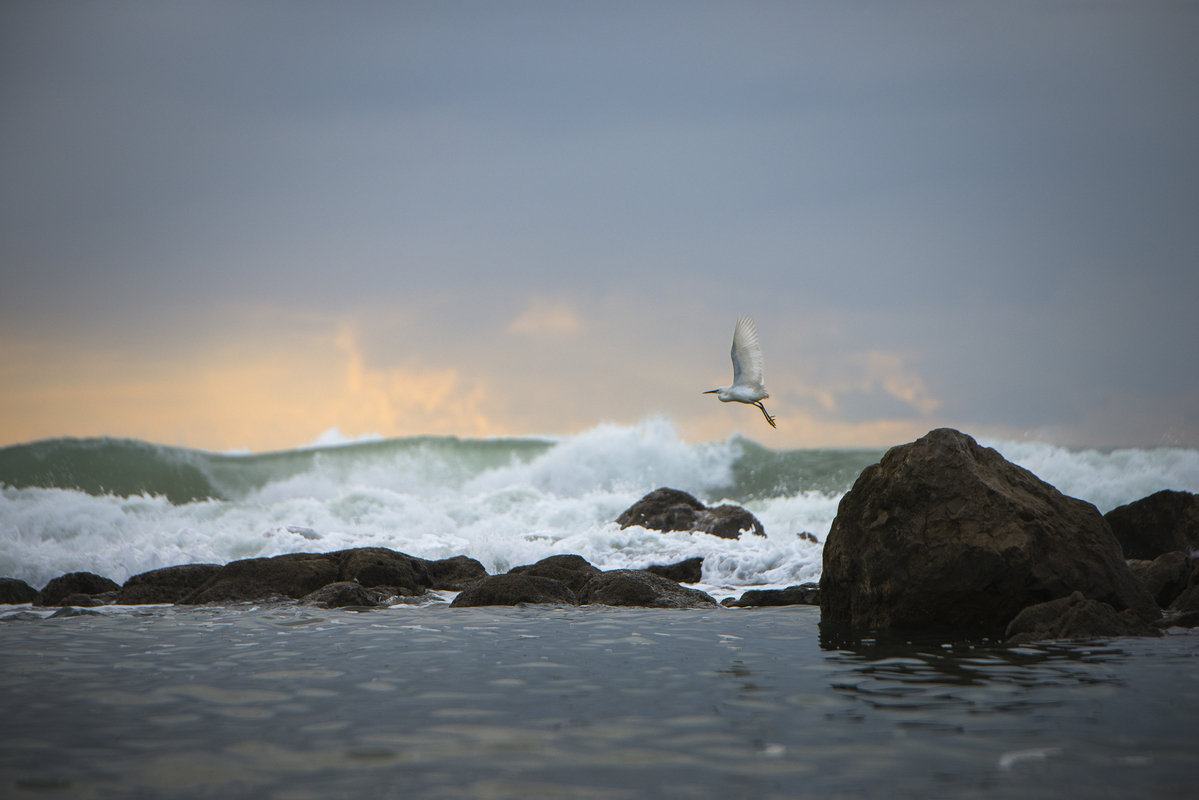 Проміжна зупинка