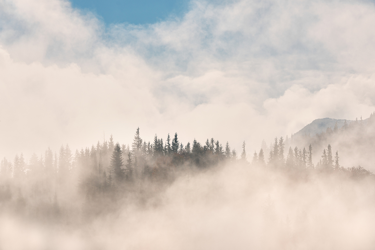 Карпатський туман