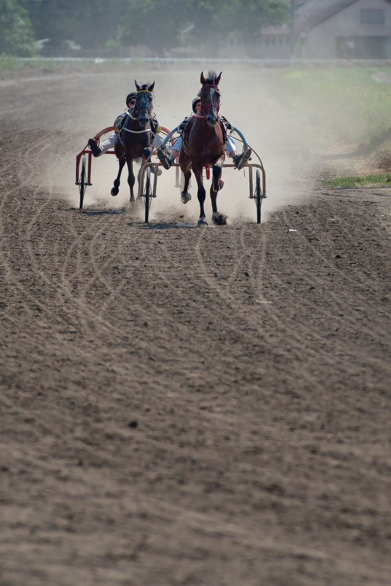 Фінішне коло