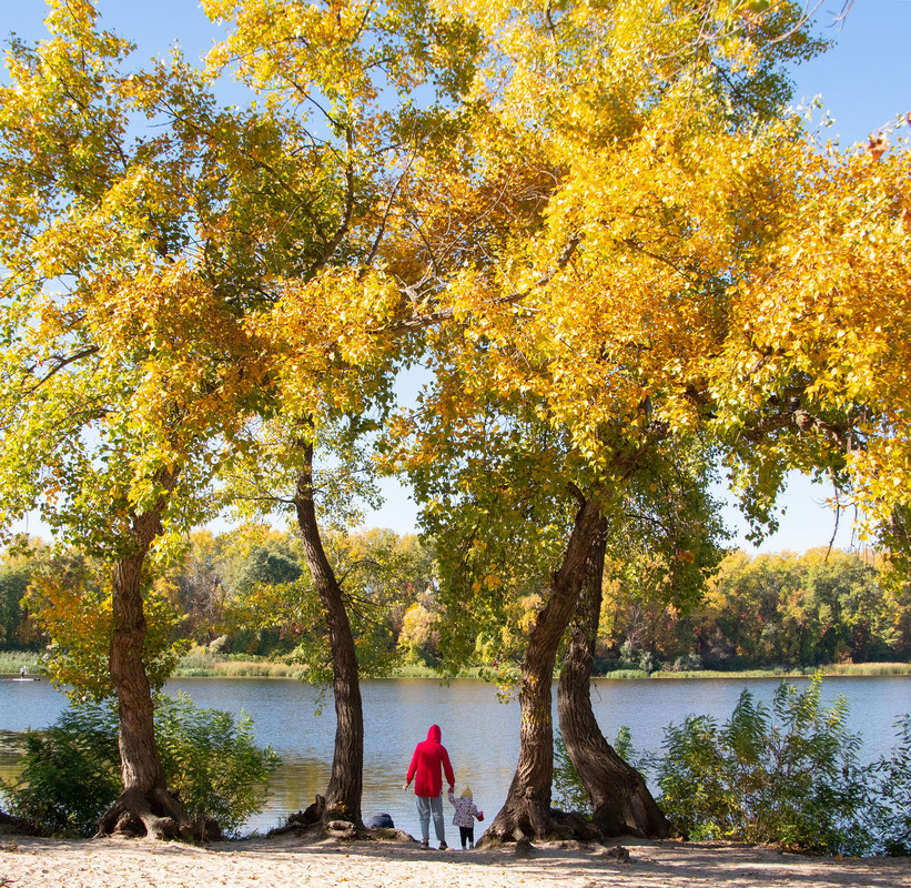 Сонячний день