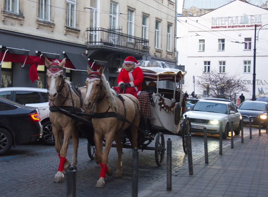 Передноворічний ескорт