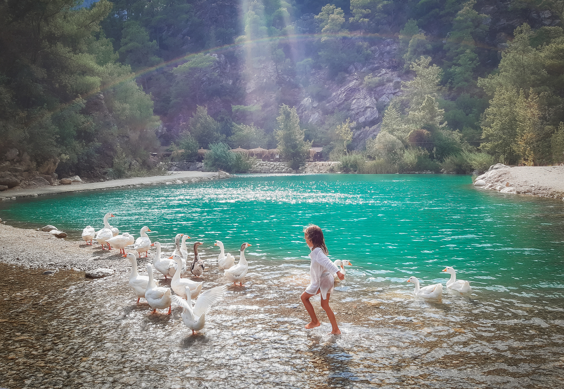 Несподівані гості на відпочинку