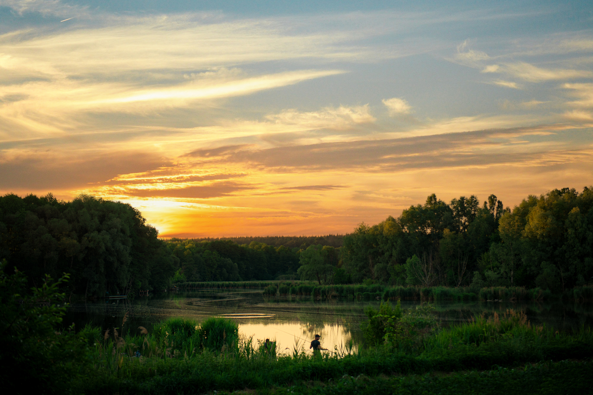 Вечірня риболовля