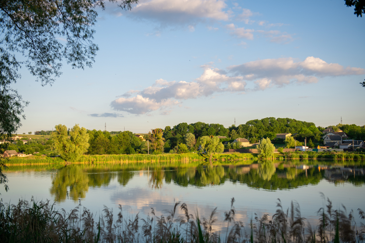 У рідному краї