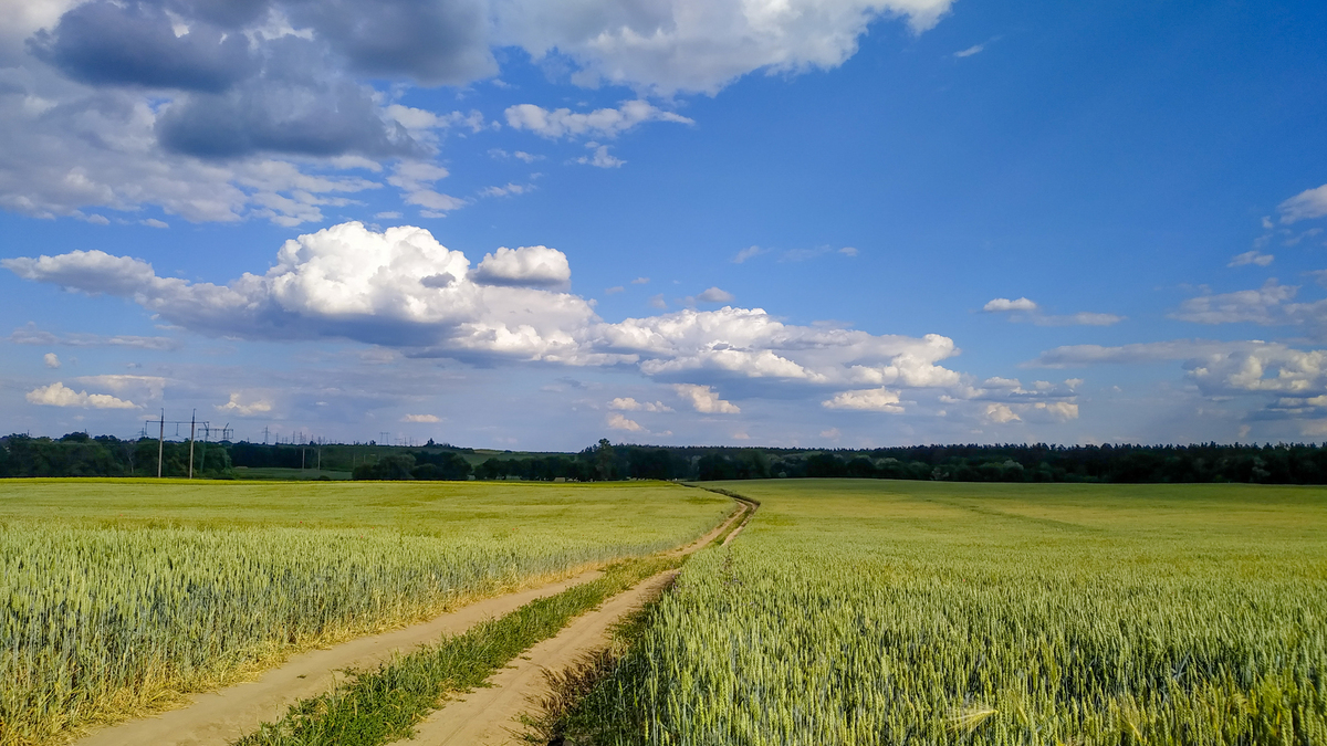 Рідний край