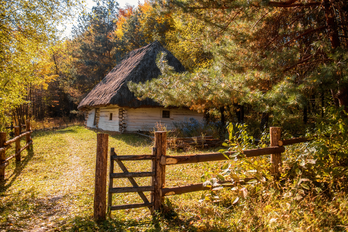 В гостях у золотої осені