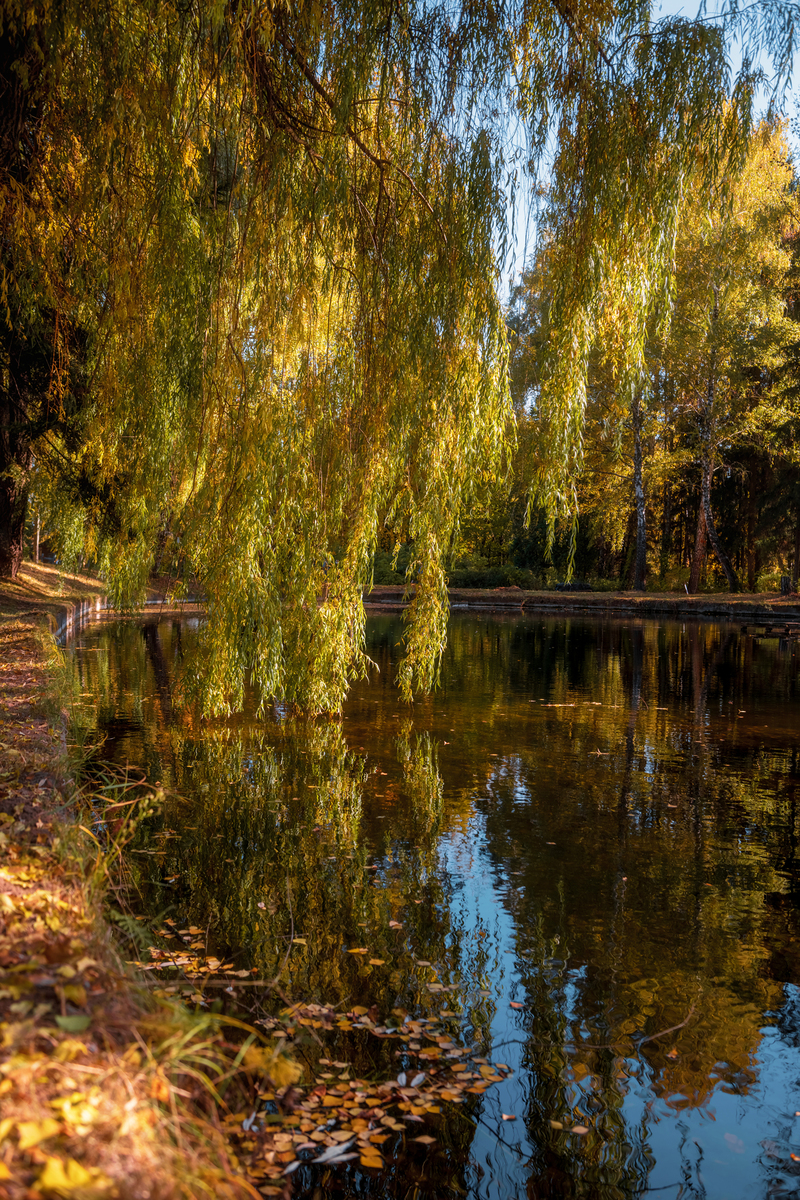 В гостях у золотої осені