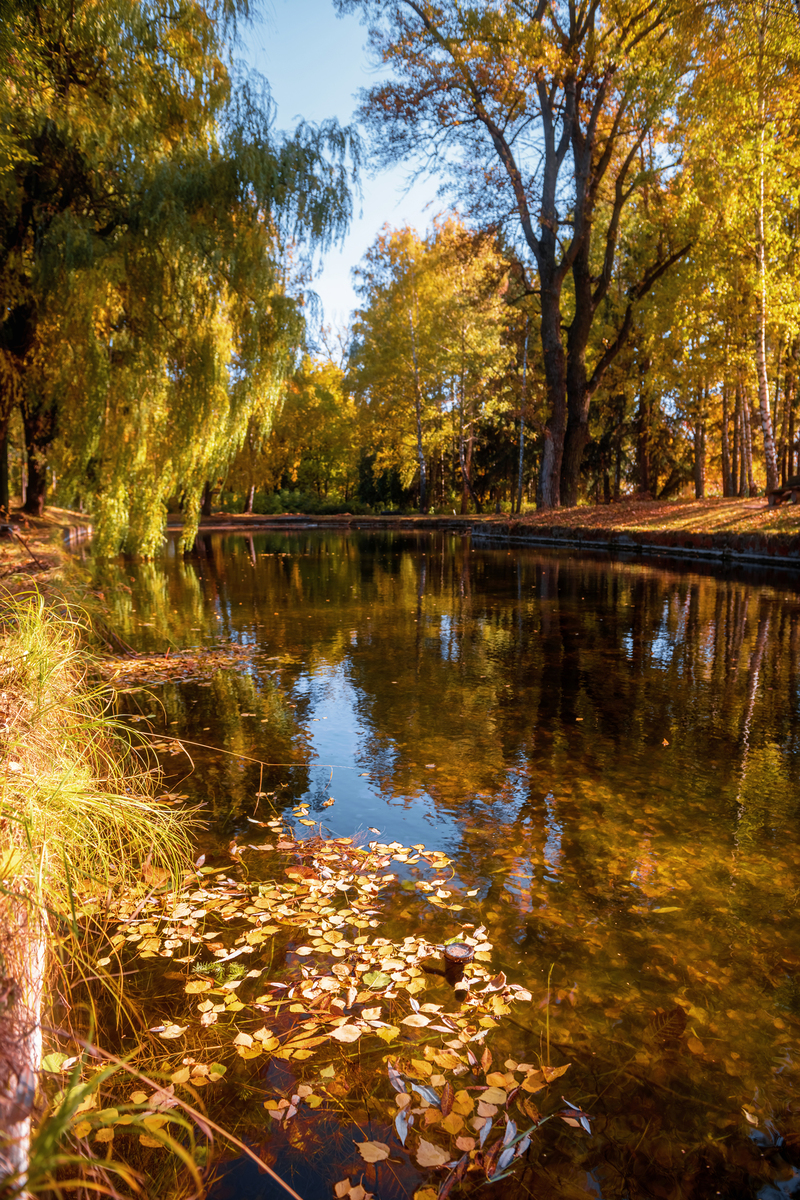 В гостях у золотої осені