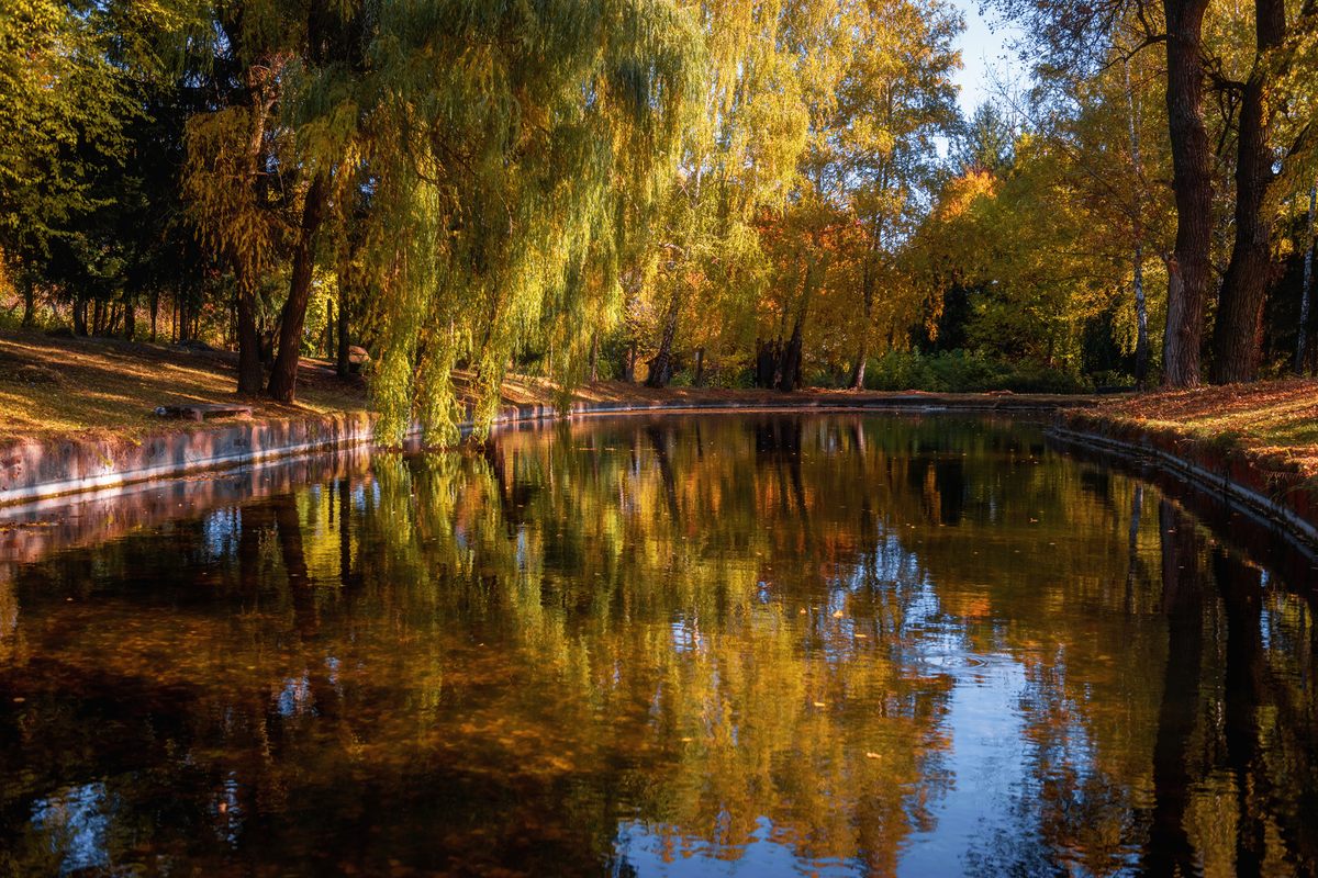 В гостях у золотої осені