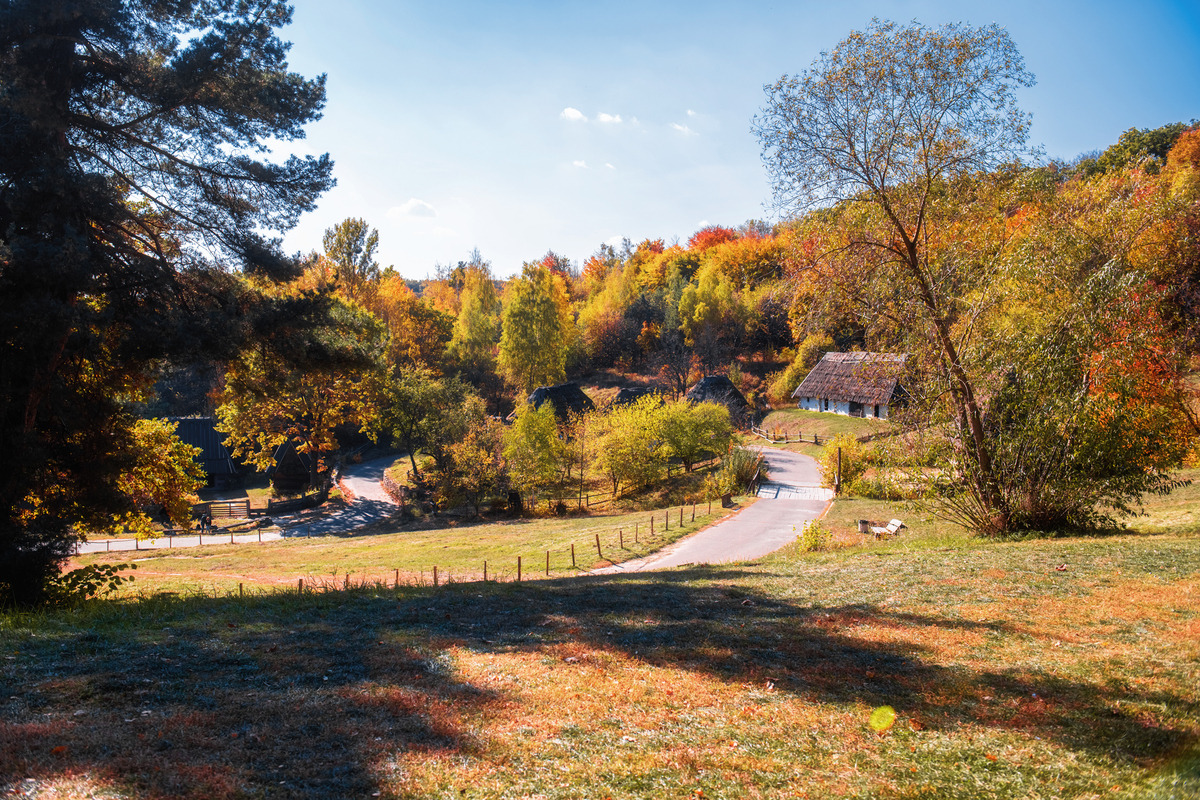 В гостях у золотої осені