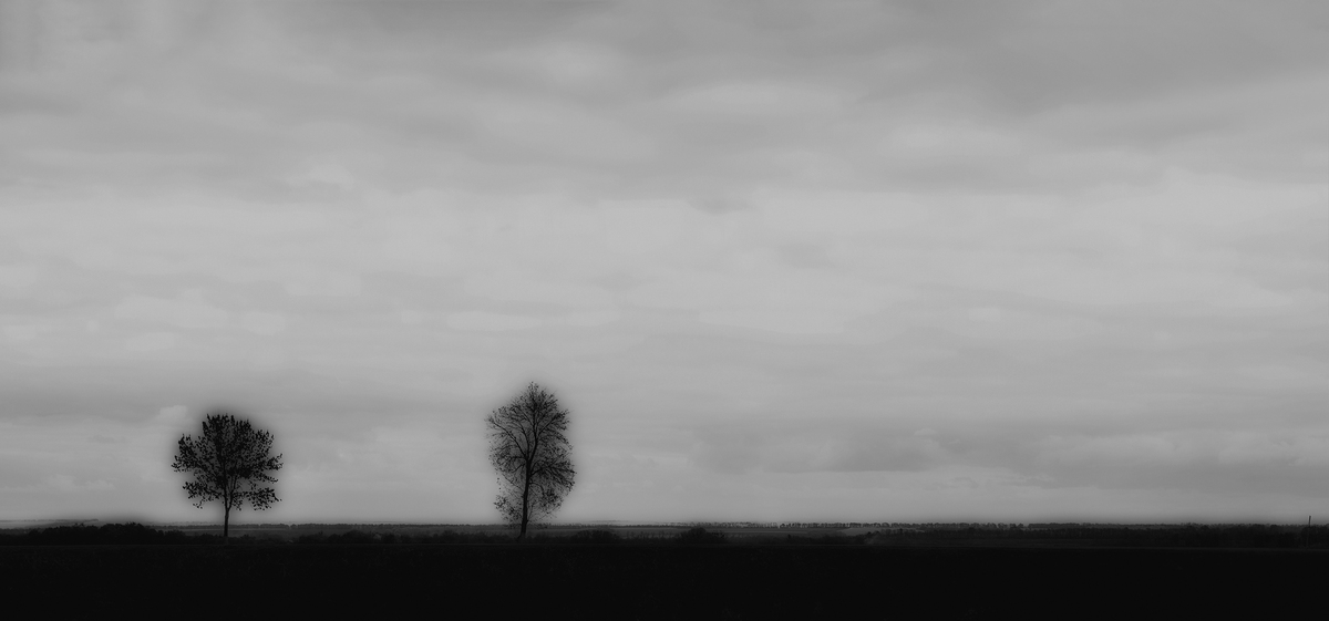 Два дерева.