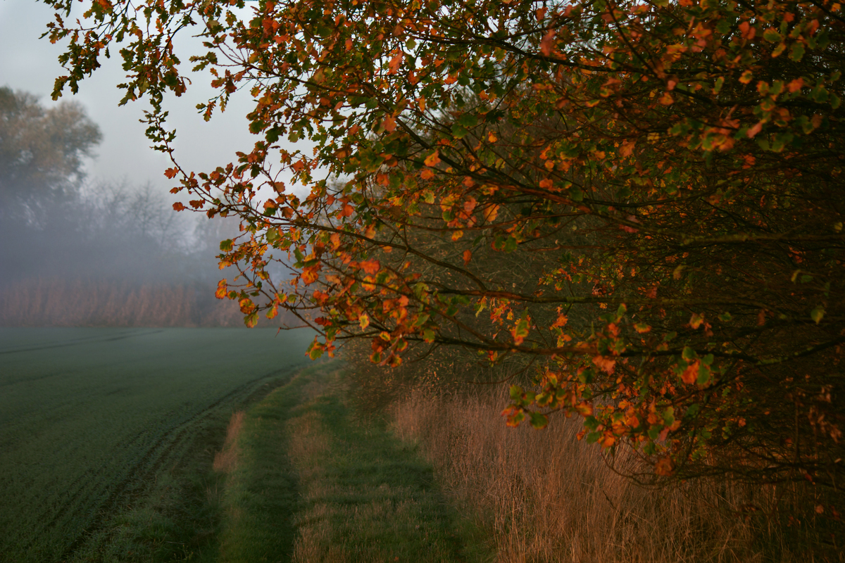 І осінню буває весна