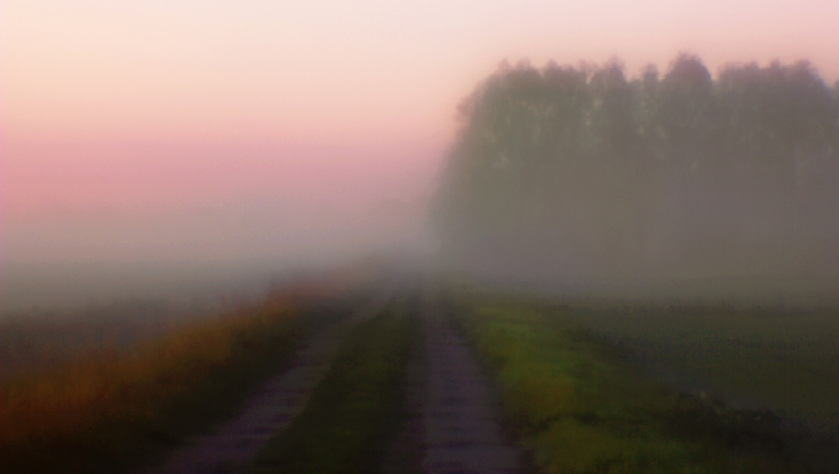 Дорога в туман