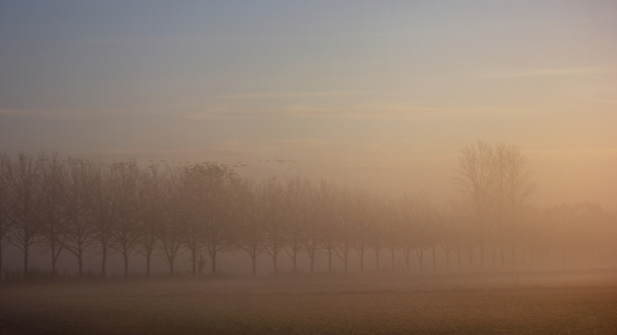 На світанку