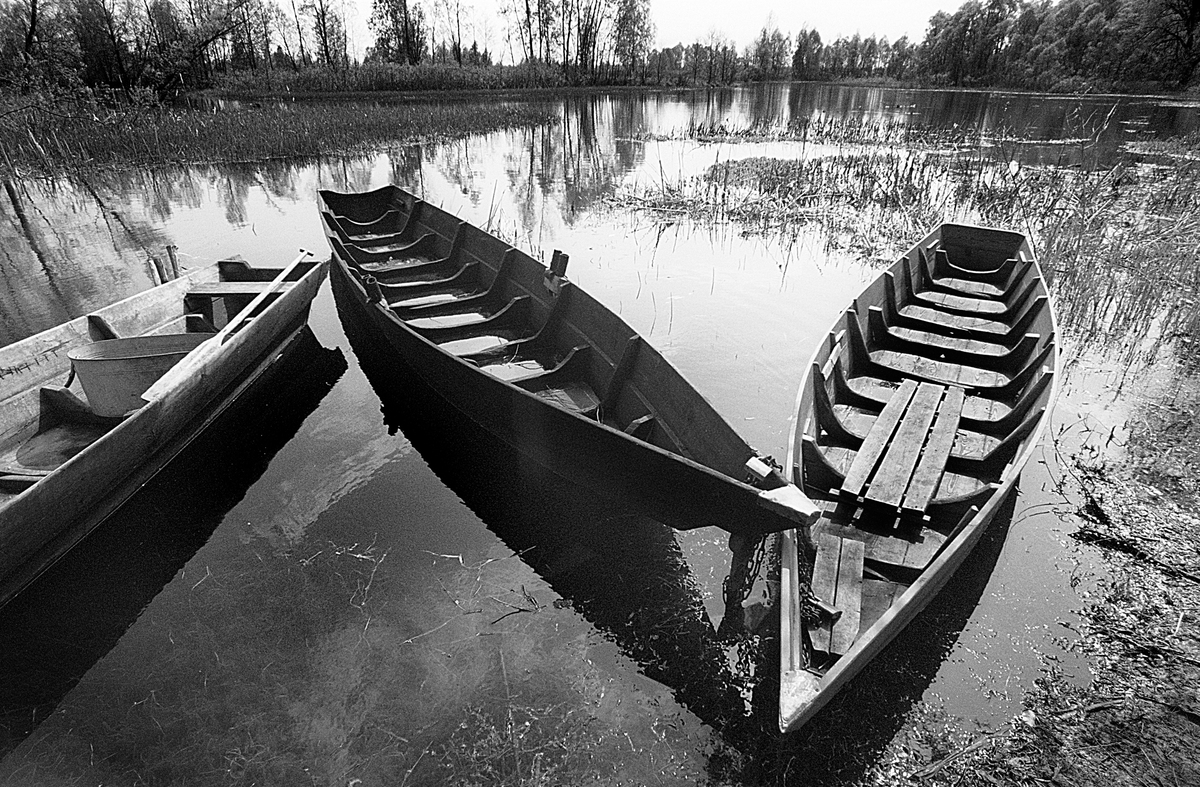 Чорнобильська тиша