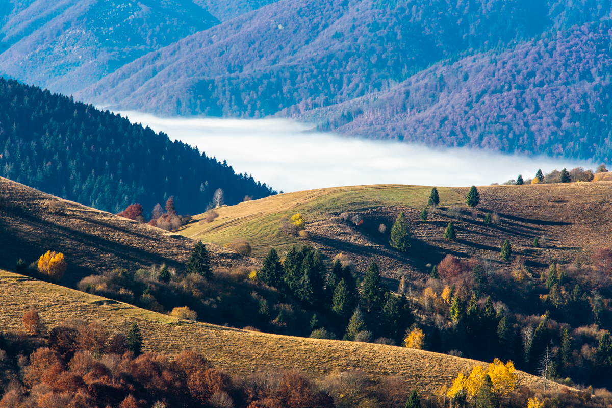 Ранковий туман в горах 