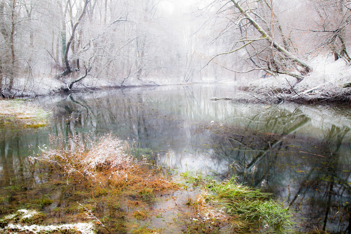 05.12.2021 с. Крива Україна Перший сніг