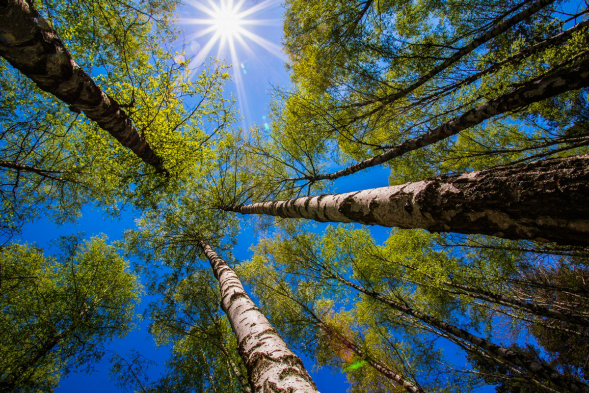 09.05.2021 Веселе оне