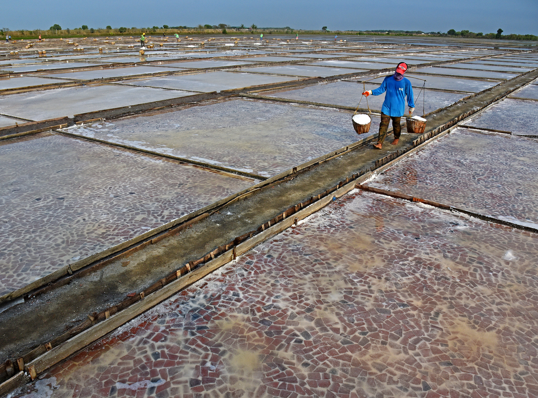 SALT PRODUCTION
