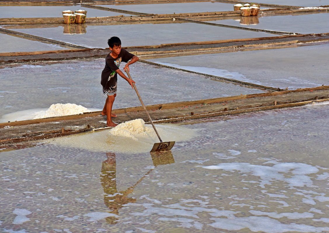YOUNG SALT FARMER
