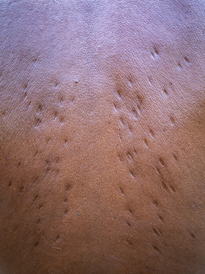 The Prestigious Marks