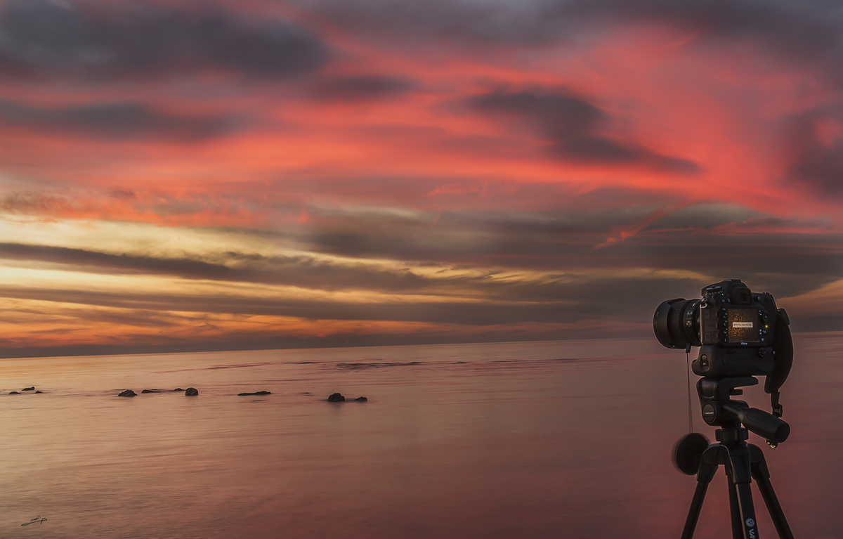 Life somtimes visualizes itself