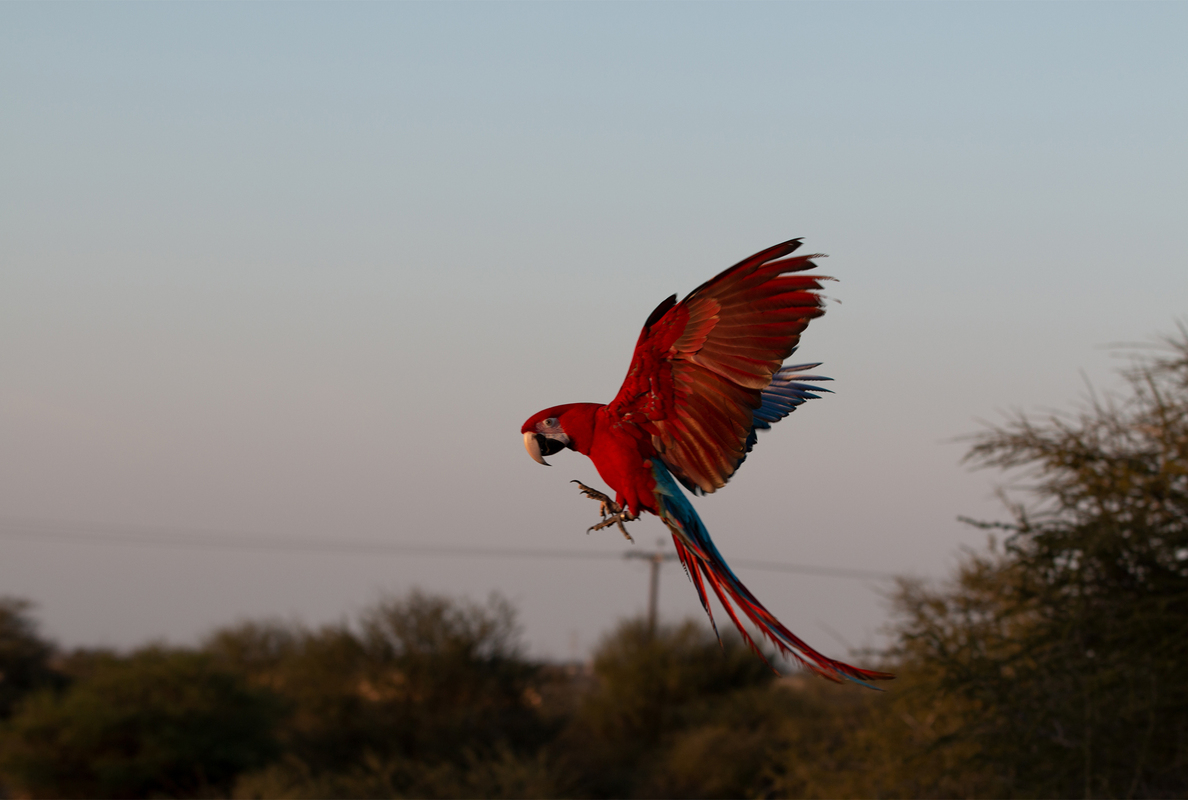 I will get back to you1