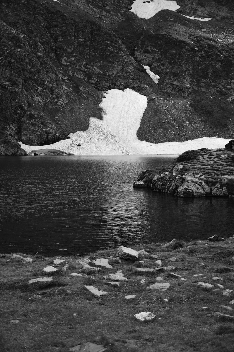 Льодовики 4