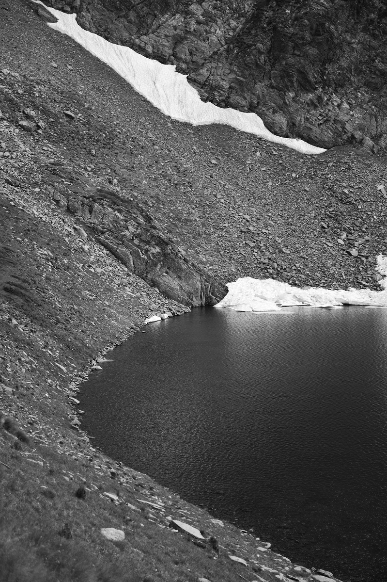 Льодовики 6