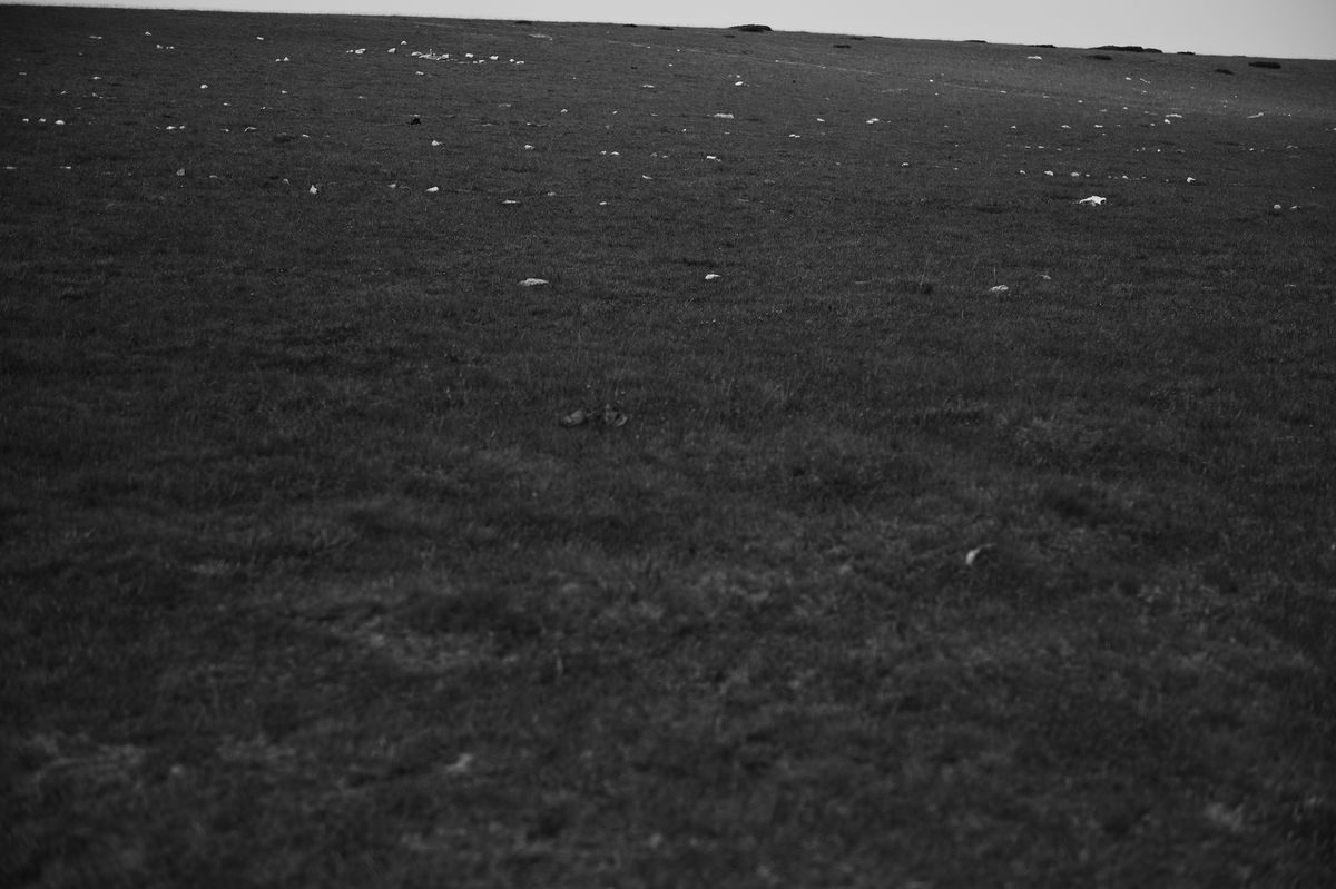 Льодовики 7