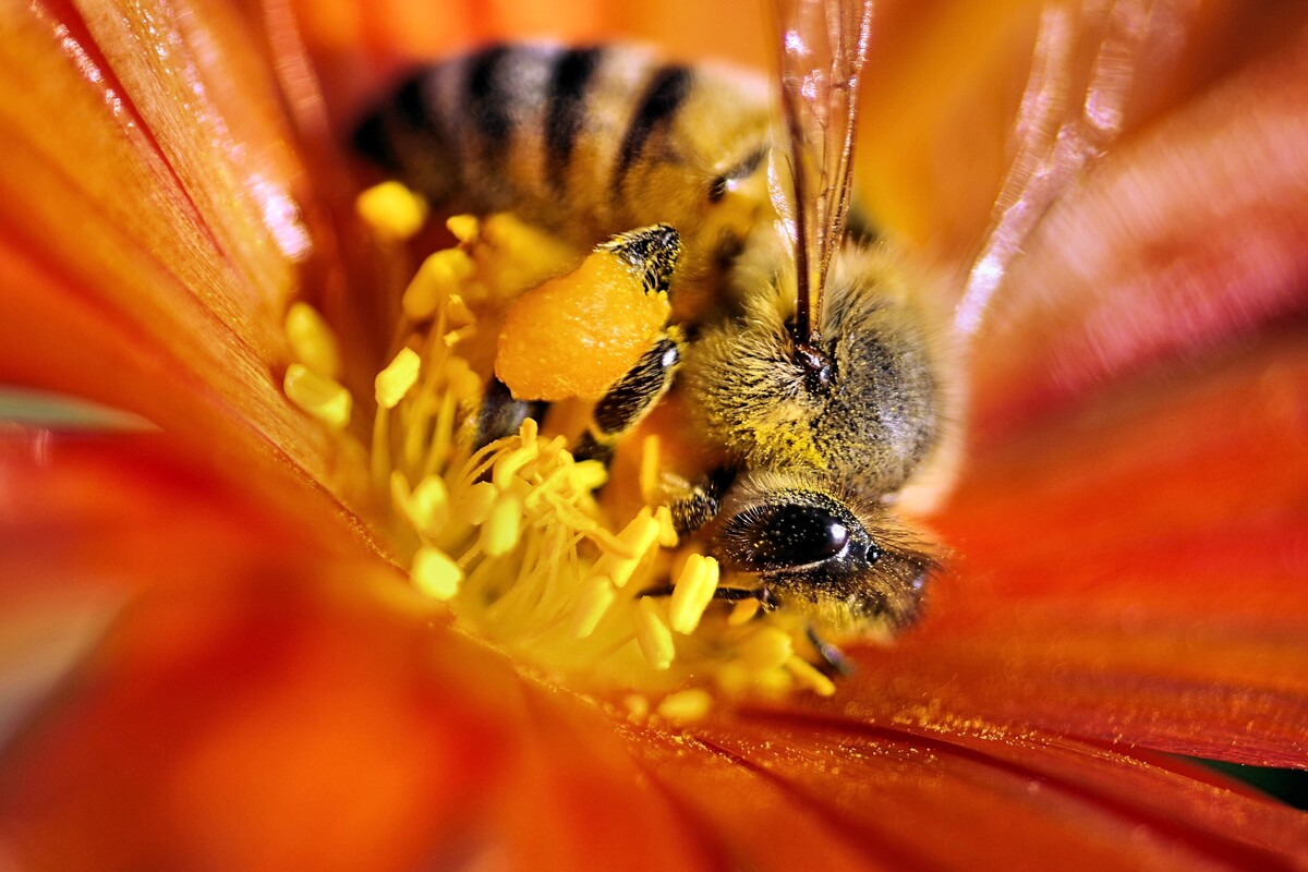 Stelios Michaelides / Internal view