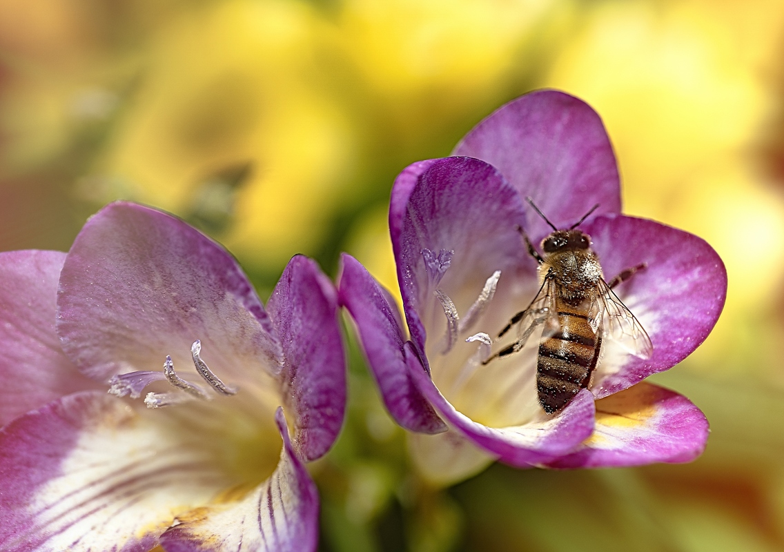 Doros Theodorou / Juice is over