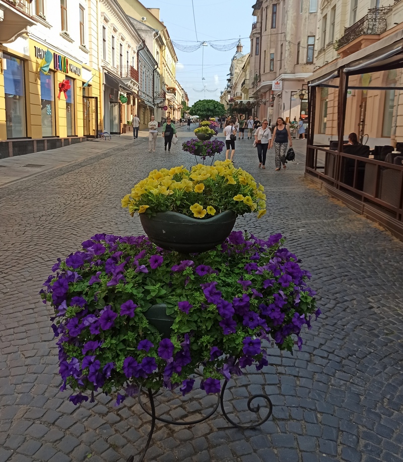 МІСЬКІ КВІТИ