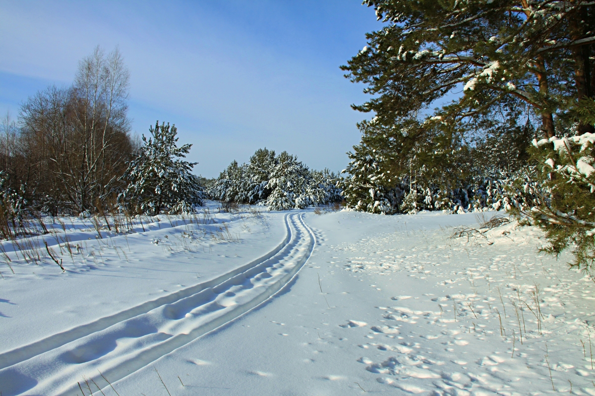 Дорога в казку.