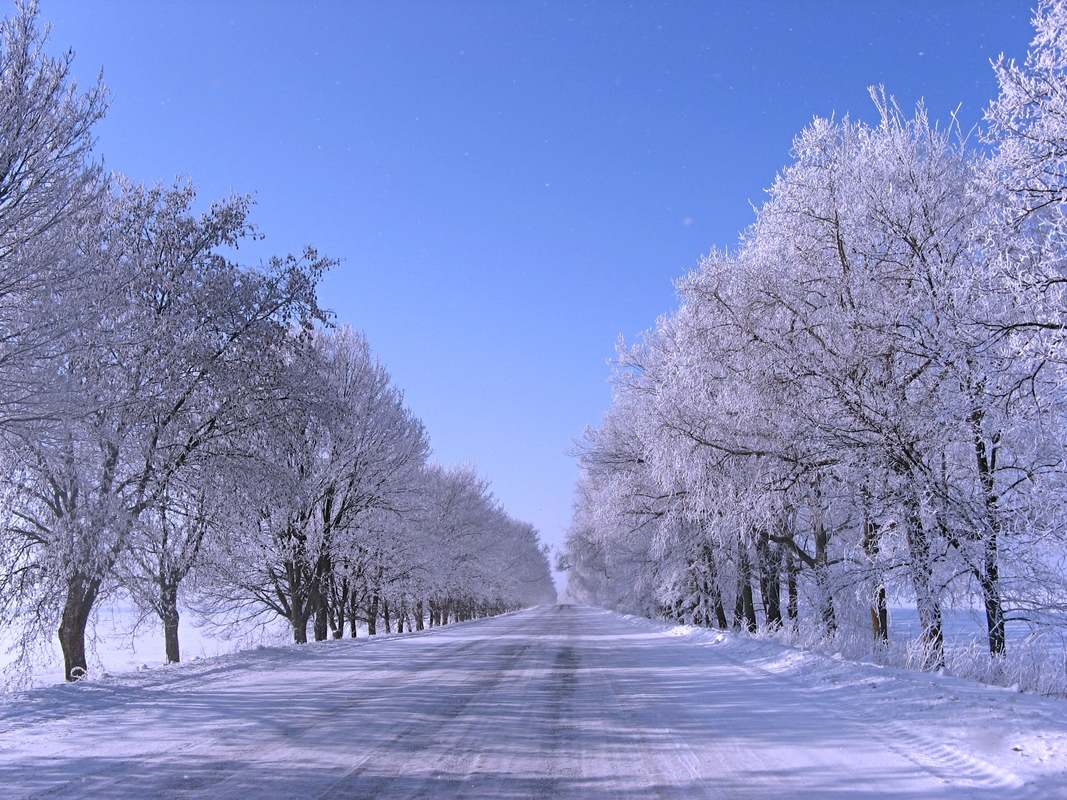 Дорога в Зиму.